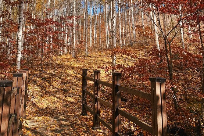 Autumn Trip for Birch Forest and Garden of Nature and Flower Fest - Meeting Information