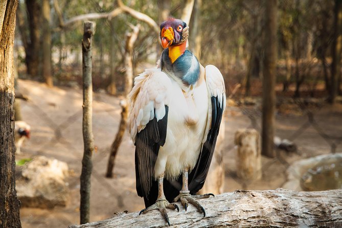 Aviario Nacional Including Playa Blanca Shared Tour