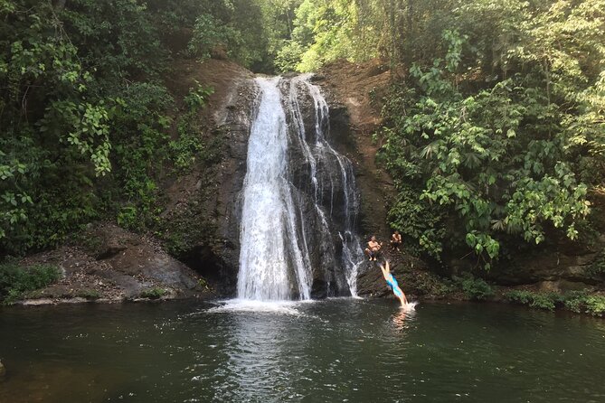 AWA Water Museum - Waterfall Adventure (Organic Food Experience) - Lunch Details
