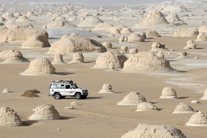 Baharyia Oasis Overnight From Cairo - Itinerary Details