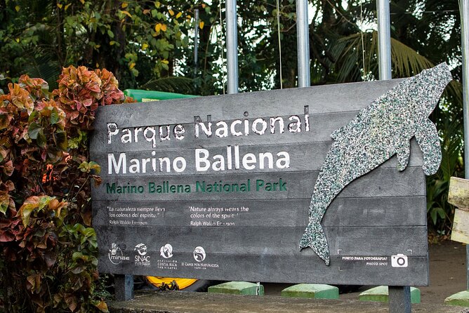 Bahia Ballena Whale and Dolphin Tour - Morning - Meeting Point Details
