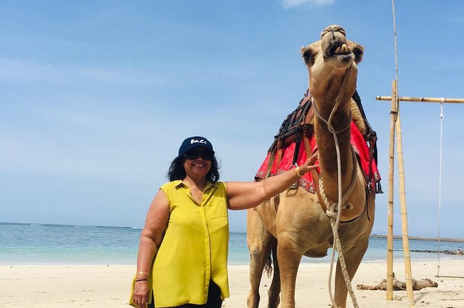 BALI HOLIDAY TRANS#Bali Camel Adventure# - Meeting and Pickup Information