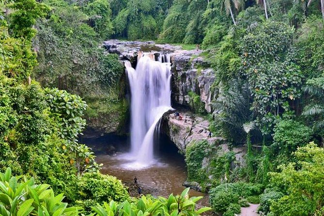Bali Middle Lane (All Inclusive) - Cancellation Policy