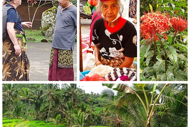 Bali One Day Tour Rice Terrace Jatiluwih Waterfall, Temple - Tour Overview