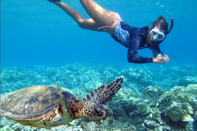 Bali Padangbai Blue Lagoon Snorkeling Private Day Trip All Inclusive - Inclusions