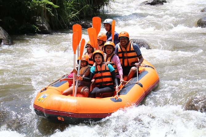 Bali Rafting With Lunch and Transport - What To Expect and Restrictions