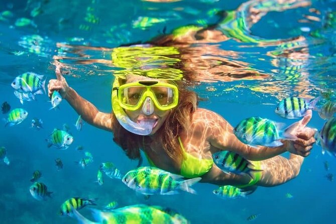 Bali Snorkeling At Bluelagoon Beach With Lunch Private Transport - Additional Information
