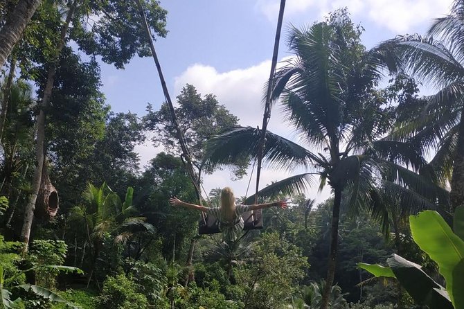 Bali Swing and Ubud Tours