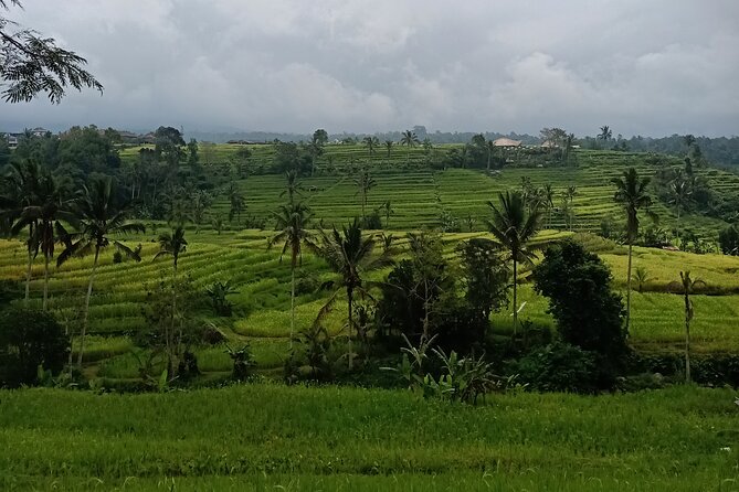 Bali Tanah Lot, Ulun Danu Beratan & Jatiluwih Rice Terrace