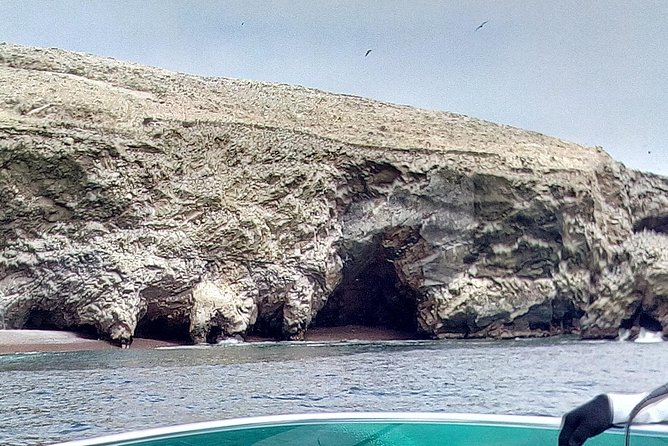 Ballestas Islands Tour - Whats Included in the Tour
