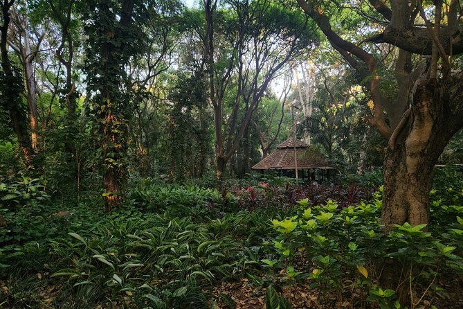 Bangalore Basavanagudi Heritage Self Guided Walking Tour - End Point