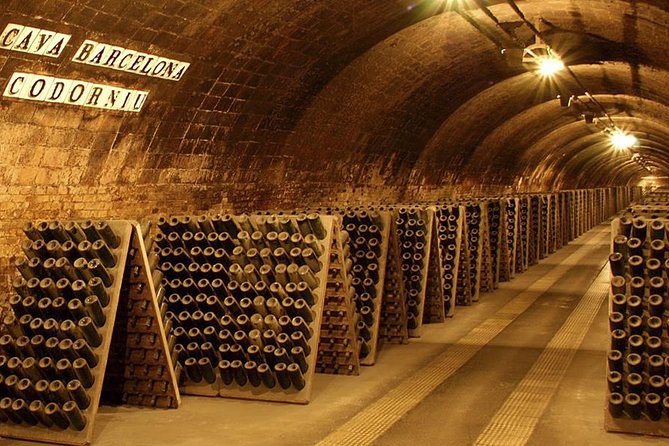 Barcelona Countryside Fullday Wine and Cava Tastings With Lunch - Wine and Cava Tastings