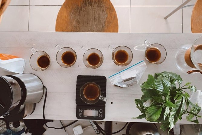 Barismo for Beginners - Equipment Needed for Barismo