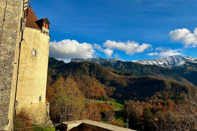 Basel Private Tour - Gruyères, Cheese, and Lavauxs UNESCO Wine - Whats Included