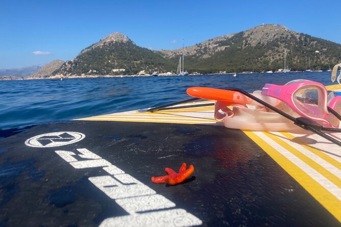 Beach and Paddle Surf SUP Private Tour - Additional Information