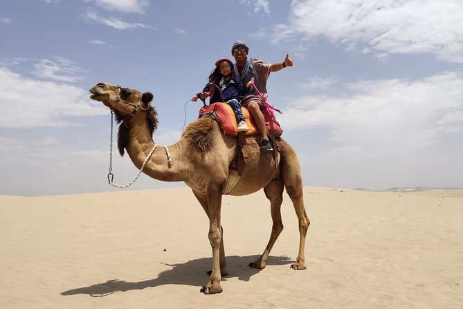Bedouin Adventure: Dromedaries in the Desert - Transportation Information