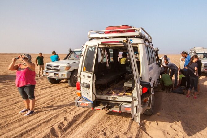Bedouin BBQ Night by 4×4 or Camel Ride in Hurghada
