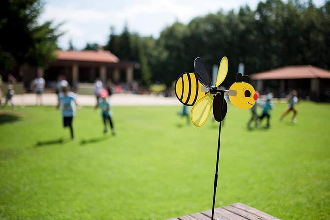 Beekeeper Experience in the Mountain of Holomontas