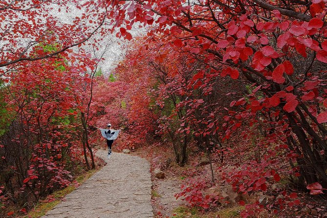Beijing Private Tour to Summer Palace and Fragrant Hill With Cable Car Ride - Pickup Details and Logistics