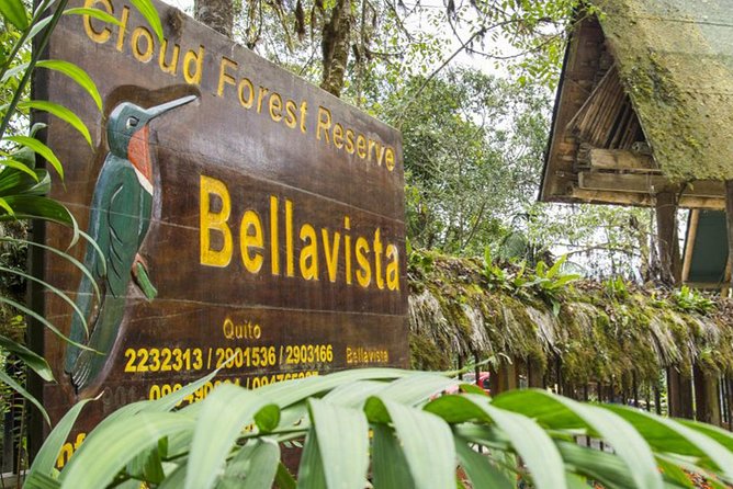 Bellavista Cloud Forest Reserve / 3 Day Tour - Accommodation and Meals Included