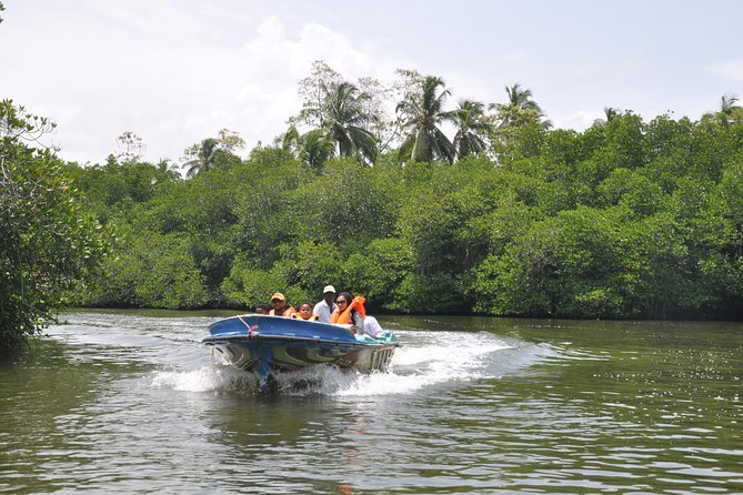 Bentota City Tour From Mirissa - Inclusions