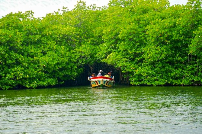 Bentota City Tour From Tangalle - Inclusions and Exclusions