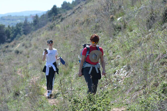 Berat Tours Hike on the Gorica Ruins Berat - Meeting Details