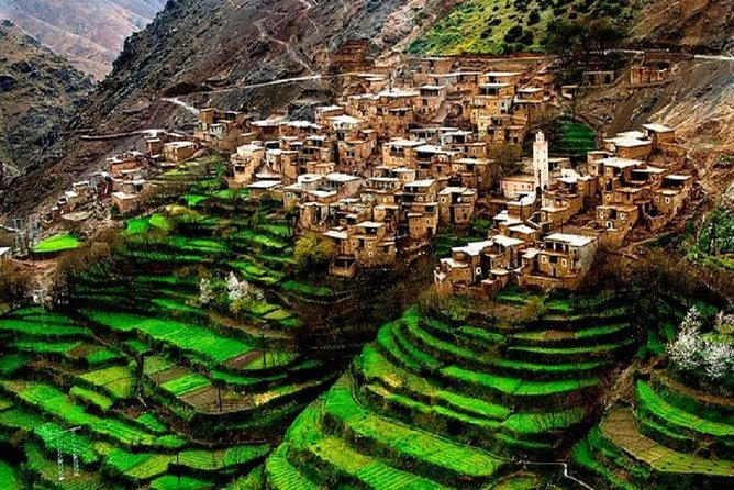 Berber Life Experience in the Atlas Mountains From Marrakech - Local Cuisine and Dining