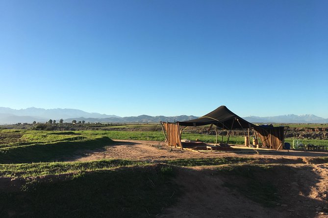 Berber Villages, Camel Ride & Tinmal Mosque Day Trip - Logistics Details