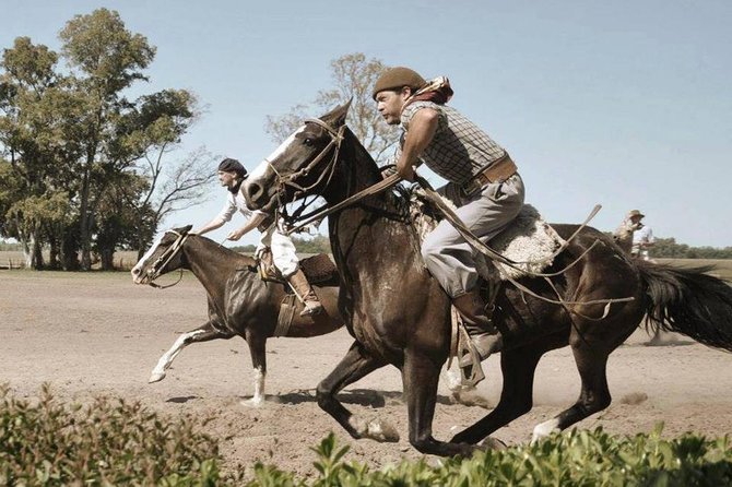 Best Deal Buenos Aires: Tigre Delta & Gaucho Experience