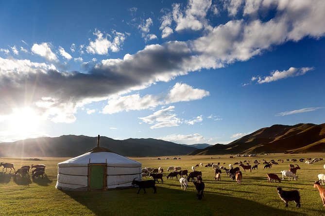 Best of Mongolian Tour 7 Days