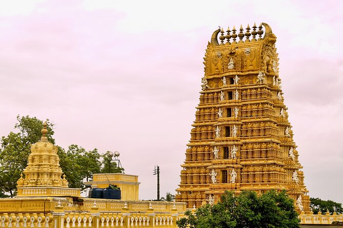 4 Best Full-Day Tours In Mysore