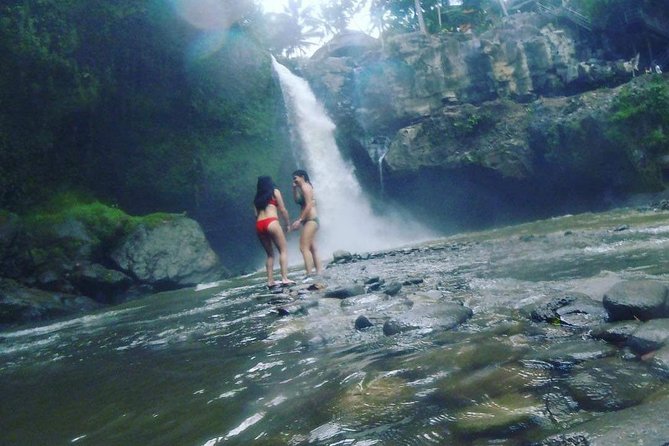 Best of Ubud Full Day Private Guided Tour - Tour Details