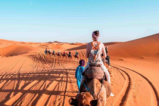 Best Shared Group Tour From Fes to Fes Sahara 2 Days/1 Night - Inclusions and Exclusions