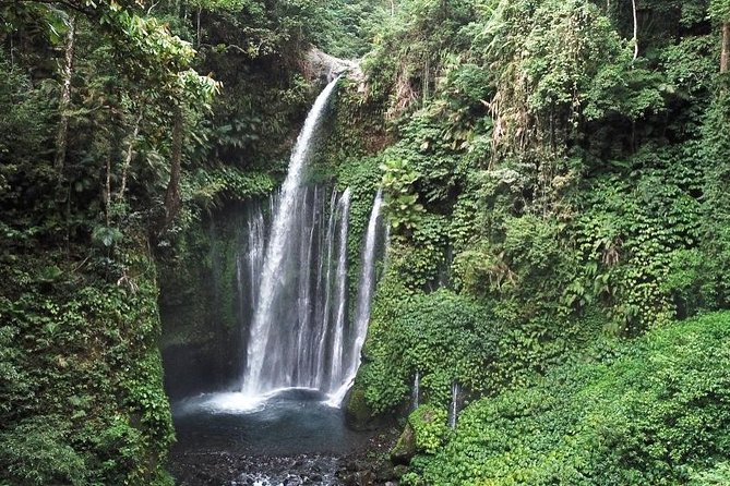Best Waterfall Lombok: Sendang Gile & Tiu Kelep Private Tour - Inclusions