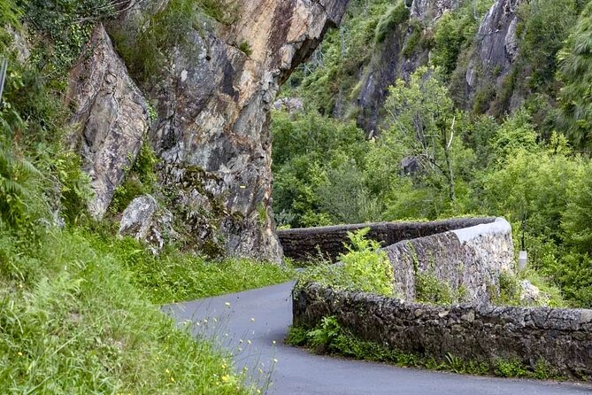 Biarritz: Private Day Tour of the Most Beautiful Basque Villages - Inclusions and Services
