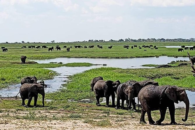 Big 5 Hwange Safari National Park Daytrip From Victoria Falls - Tour Operator Information
