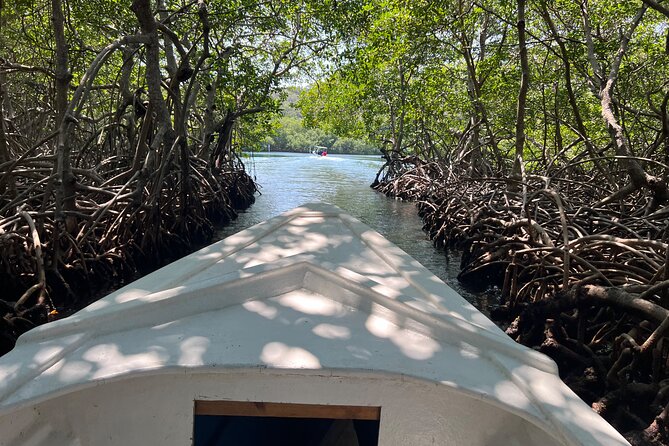 Big Daddy Private Tour Roatan Island in Honduras - Inclusions and Pickup Details