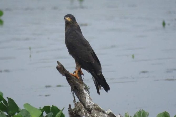 Bird Watching in Cartagena Full Day - Pickup Information