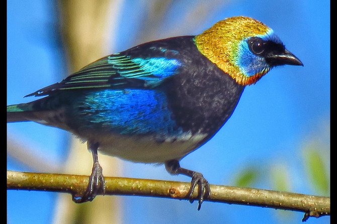 Bird Watching Tour - Daily Schedule Details