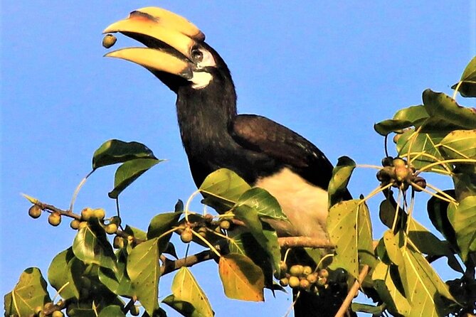 3 Best Tours In Dibrugarh