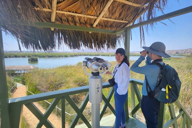 Birdwatching and Trekking in Lima City - Birdwatching Tour Highlights
