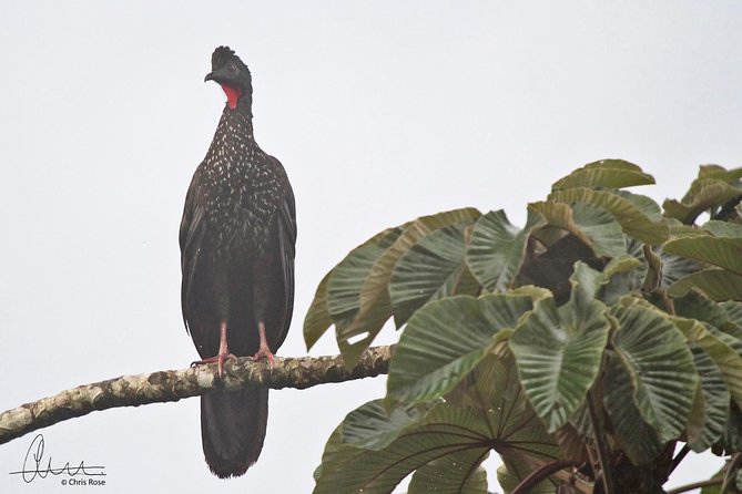 Birdwatching Discovering Hike - What to Expect