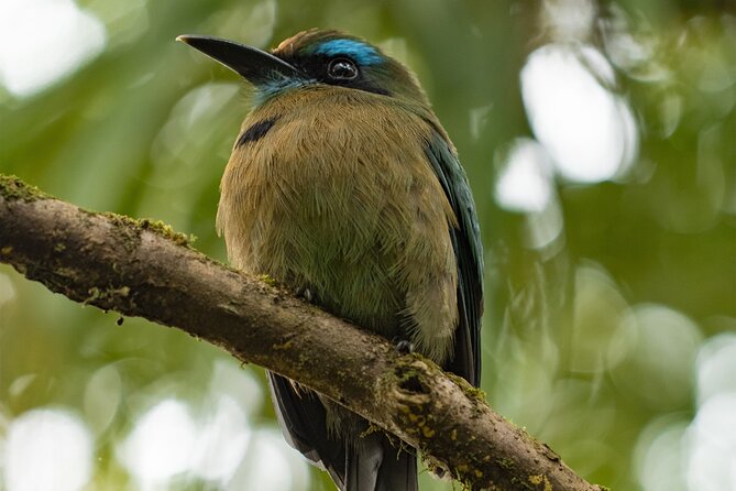 Birdwatching Experience Private Tour - Meeting Point Details