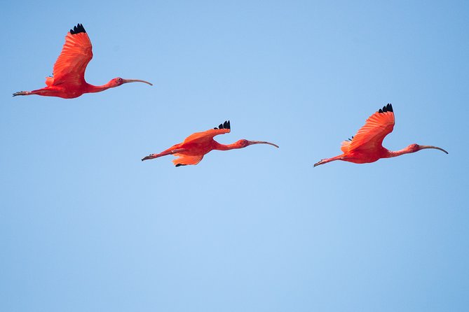 Birdwatching in Chundikulam National Park - Park Location and Meeting Point