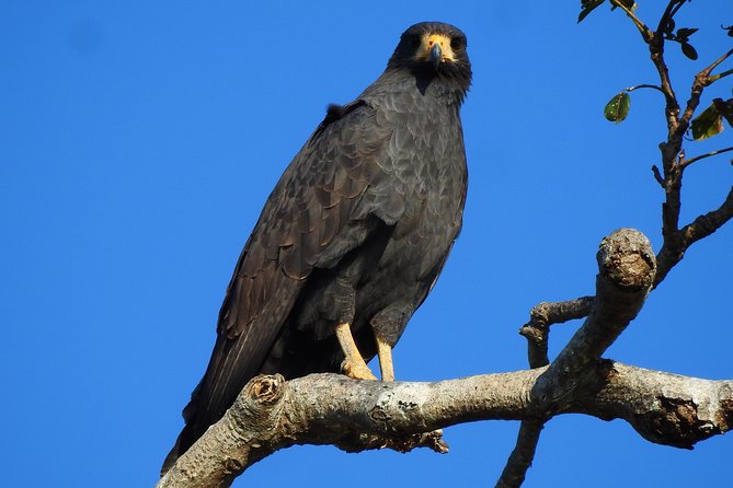 Birdwatching Tour - Important Additional Information for Participants