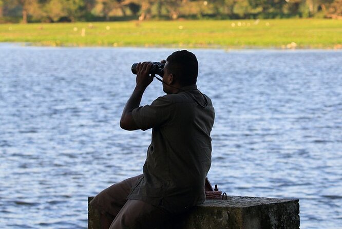 Birdwatching Walk in Sigiriya Countryside - Location