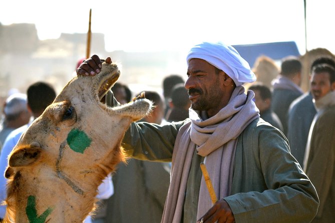 Birqash Camels Market - Pickup Information