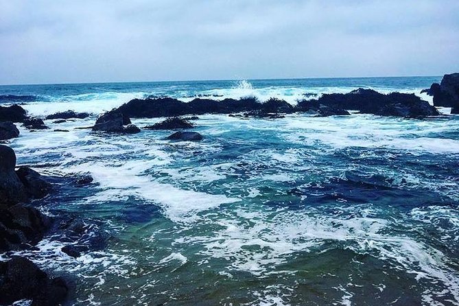 Black Island + Undurraga - Meeting and Pickup Information