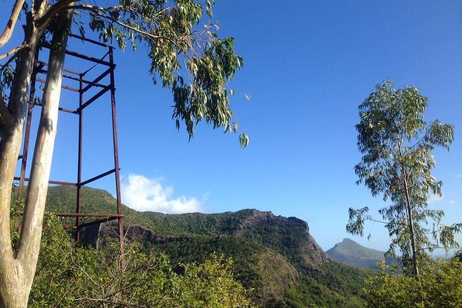 Black River Gorges Forest Hiking, Mauritius - Half Day - Overview